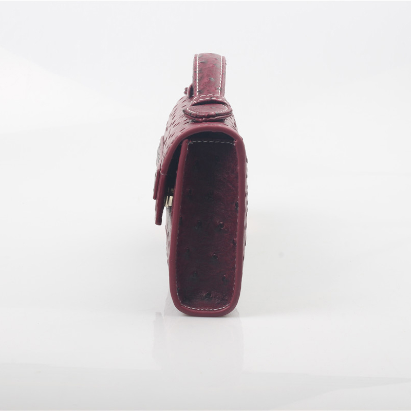 Новые женские сумки из Дубая с – обзор и цена Women Bags In Dubai